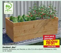 toom Baumarkt Hochbeet bea Angebot