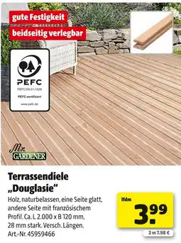 Hagebau Mr. gardener terrassendiele douglasie Angebot