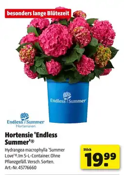 Hagebau Endless summer hortensie 'endless summer' Angebot