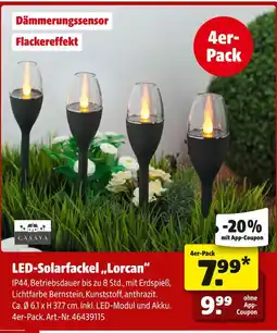 Hagebau Casaya led-solarfackel lorcan Angebot