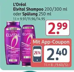 Rossmann L'oréal elvital shampoo Angebot