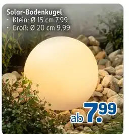 Rossmann Solar-bodenkugel klein Angebot