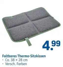 Rossmann Faltbares thermo-sitzkissen Angebot
