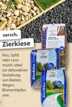 Sonderpreis Baumarkt versch. Zierkiese Angebot