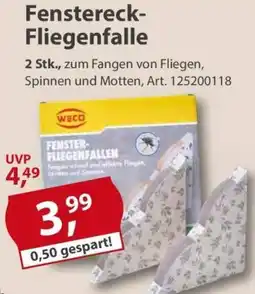 Sonderpreis Baumarkt WECO Fenstereck Fliegenfalle Angebot
