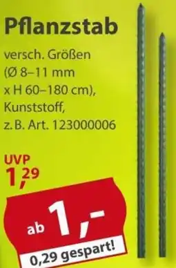 Sonderpreis Baumarkt Pflanzstab Angebot