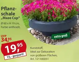 Sonderpreis Baumarkt Pflanzschale ,,Maze Cup" Angebot
