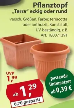 Sonderpreis Baumarkt Pflanztopf ,,Terra" eckig oder rund Angebot