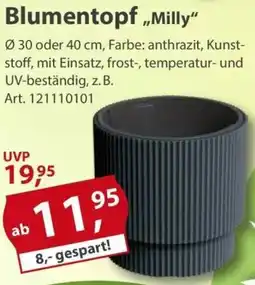Sonderpreis Baumarkt Blumentopf „Milly" Angebot