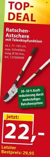 Sonderpreis Baumarkt Ratschen Astschere mit Teleskopfunktion Angebot