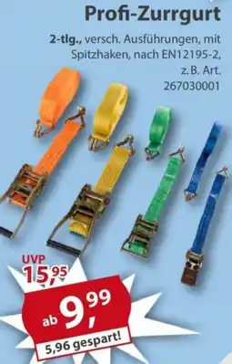 Sonderpreis Baumarkt Profi-Zurrgurt Angebot