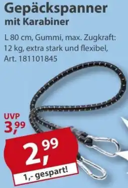 Sonderpreis Baumarkt Gepäckspanner mit Karabiner Angebot
