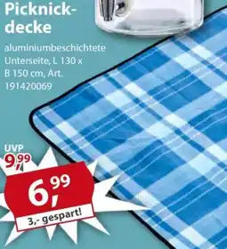 Sonderpreis Baumarkt Picknickdecke Angebot