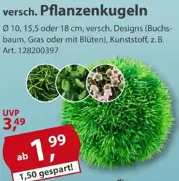 Sonderpreis Baumarkt versch. Pflanzenkugeln Angebot