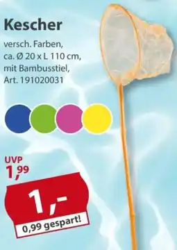 Sonderpreis Baumarkt Kescher Angebot