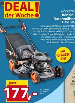 Sonderpreis Baumarkt WOODSTER Benzin Rasenmäher TT161-46S Angebot