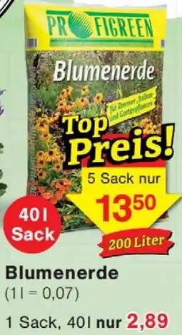 Wiglo Wunderland Blumenerde Angebot