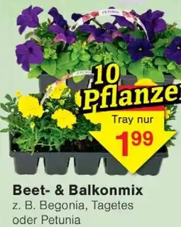 Wiglo Wunderland Beet & Balkonmix Angebot