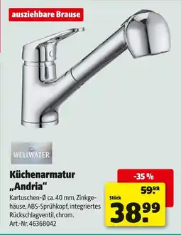 Hagebau Wellwater küchenarmatur andria Angebot