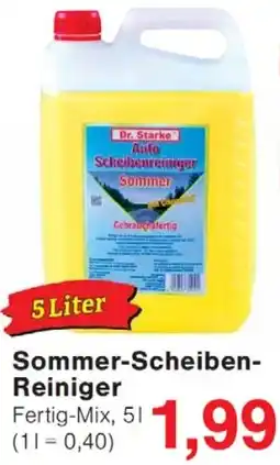 Wiglo Wunderland Sommer-Scheiben Reiniger Angebot