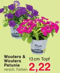 Wiglo Wunderland Wouters & Wouters Petunie Angebot