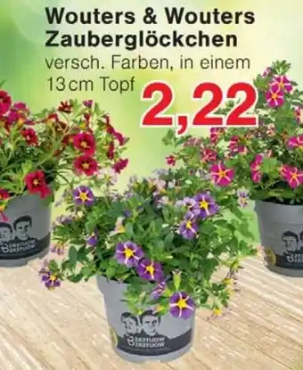 Wiglo Wunderland Wouters & Wouters Zauberglöckchen Angebot
