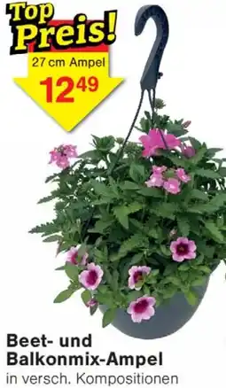 Wiglo Wunderland Beet und Balkonmix-Ampel Angebot