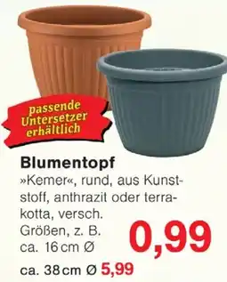 Wiglo Wunderland Blumentopf Angebot