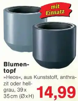Wiglo Wunderland Blumentopf Angebot