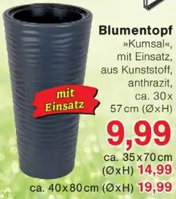 Wiglo Wunderland Blumentopf Angebot