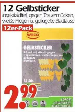 Wreesmann 12 gelbsticker Angebot