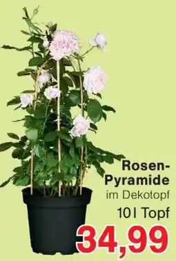 Wiglo Wunderland Rosen Pyramide Angebot