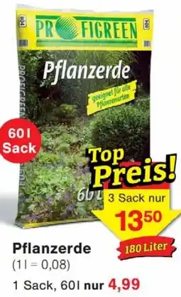 Wiglo Wunderland Pflanzerde Angebot