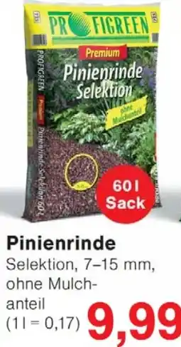 Wiglo Wunderland Pinienrinde Angebot