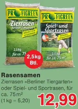 Wiglo Wunderland Rasensamen Angebot