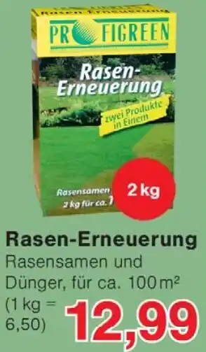 Wiglo Wunderland Rasen-Erneuerung Angebot