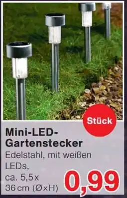 Wiglo Wunderland Mini-LED Gartenstecker Angebot