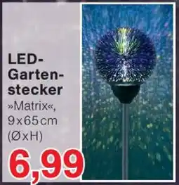 Wiglo Wunderland LED-Gartenstecker Angebot