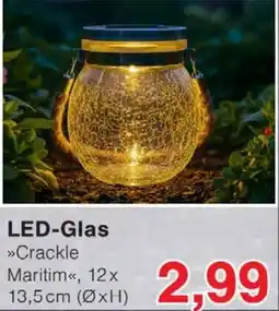 Wiglo Wunderland LED-Glas Angebot
