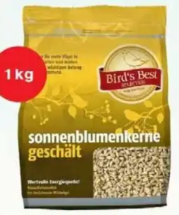 Wiglo Wunderland Sonnenblumenkerne Angebot