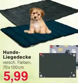 Wiglo Wunderland Hunde Liegedecke Angebot