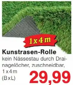 Wiglo Wunderland Kunstrasen-Rolle Angebot