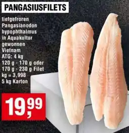 Handelshof Pangasiusfilets Angebot