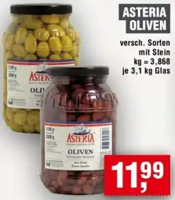 Handelshof Asteria oliven Angebot