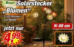 Posten Börse KYNAST Solarstecker Blumen Angebot