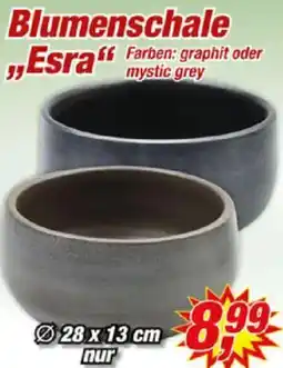 Posten Börse Blumenschale Esra Angebot