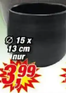Posten Börse Blumentopf ,,Esra" Angebot