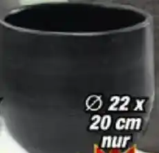 Posten Börse Blumentopf ,,Esra" Angebot