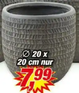 Posten Börse Blumentopf ,,Kinza" Angebot