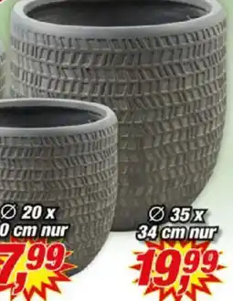 Posten Börse Blumentopf ,,Kinza" Angebot